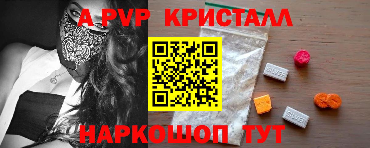A PVP крисы CK Гатчина