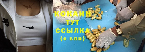 герыч Бронницы