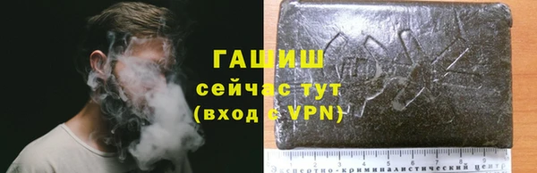 PSILOCYBIN Богородицк