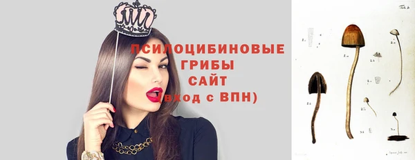 марки nbome Бородино