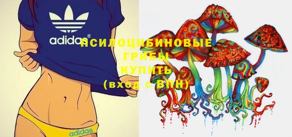 PSILOCYBIN Богородицк