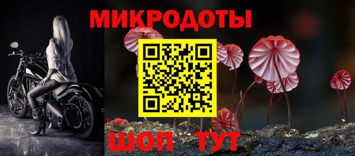 Галлюциногенные грибы Psilocybine cubensis Гатчина