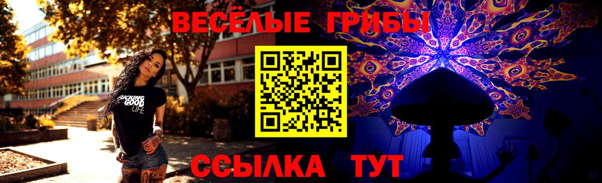Галлюциногенные грибы прущие грибы  Вход с VPN  Галлюциногенные грибы Cubensis  Гатчина 