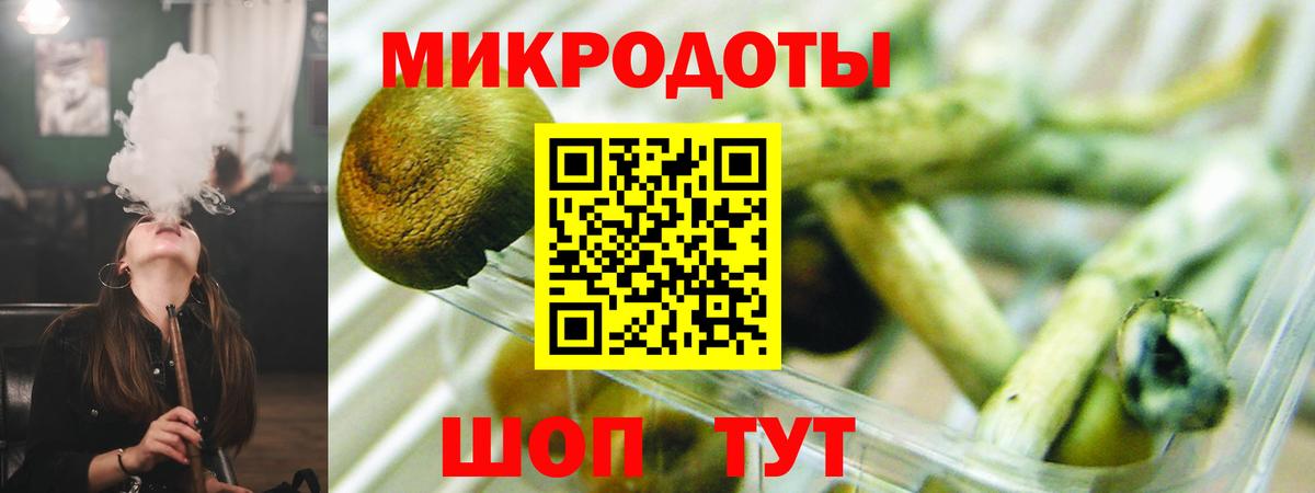 Псилоцибиновые грибы Cubensis Гатчина